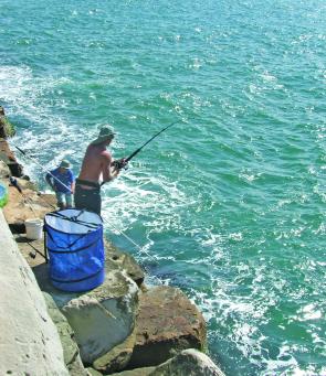 A good gaff man makes landing longtail tuna from the Iluka breakwall easy.